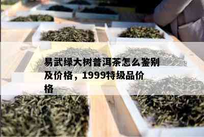 易武绿大树普洱茶怎么鉴别及价格，1999特级品价格