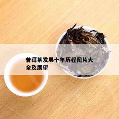 普洱茶发展十年历程图片大全及展望