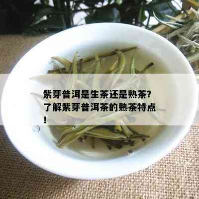 紫芽普洱是生茶还是熟茶？了解紫芽普洱茶的熟茶特点！