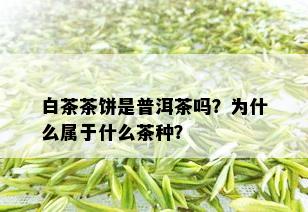 白茶茶饼是普洱茶吗？为什么属于什么茶种？