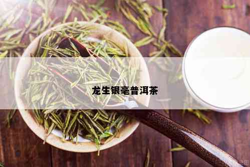 龙生银毫普洱茶