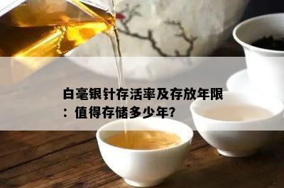 白毫银针存活率及存放年限：值得存储多少年？