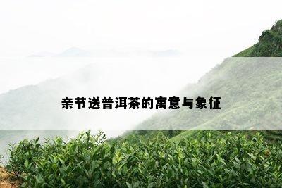 亲节送普洱茶的寓意与象征