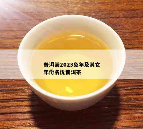 普洱茶2023兔年及其它年份名优普洱茶