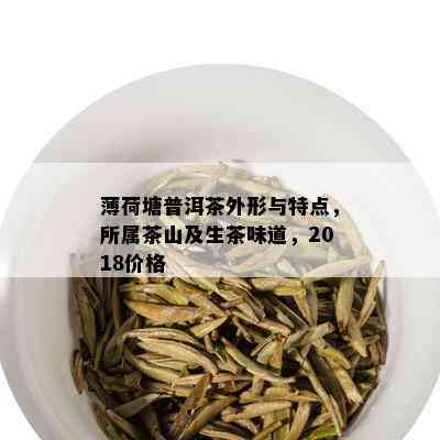 薄荷塘普洱茶外形与特点，所属茶山及生茶味道，2018价格