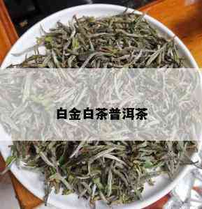 白金白茶普洱茶