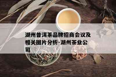 湖州普洱茶品牌招商会议及相关图片分析-湖州茶业公司