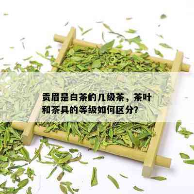 贡眉是白茶的几级茶，茶叶和茶具的等级如何区分？