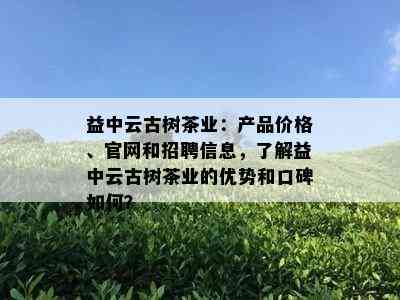 益中云古树茶业：产品价格、官网和招聘信息，了解益中云古树茶业的优势和口碑如何？