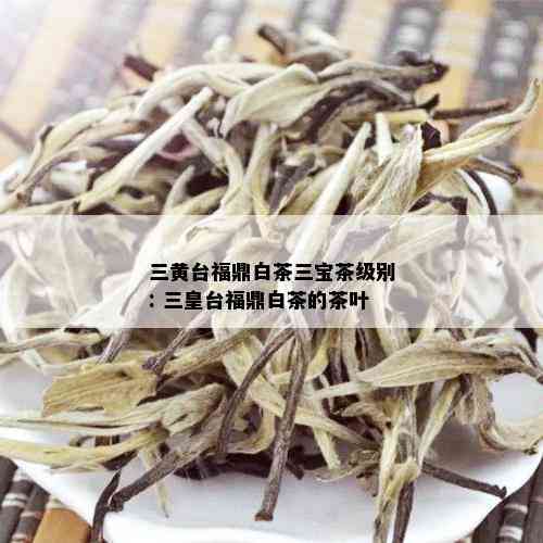 三黄台福鼎白茶三宝茶级别: 三皇台福鼎白茶的茶叶