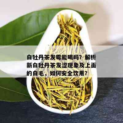 白牡丹茶发霉能喝吗？解析新白牡丹茶发涩现象及上面的白毛，如何安全饮用？