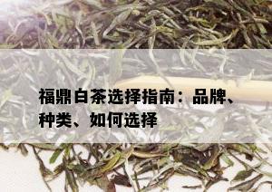 福鼎白茶选择指南：品牌、种类、如何选择