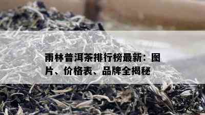 雨林普洱茶排行榜最新：图片、价格表、品牌全揭秘