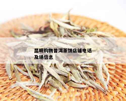 昆明购物普洱茶饼店铺电话及场信息