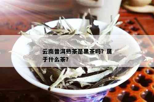 云南普洱熟茶是黑茶吗？属于什么茶？