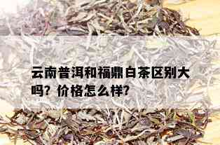 云南普洱和福鼎白茶区别大吗？价格怎么样？