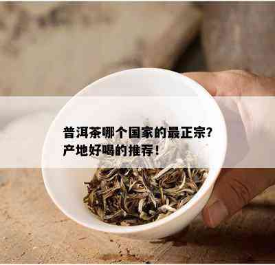 普洱茶哪个国家的最正宗？产地好喝的推荐！