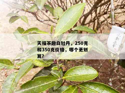 天福茶趣白牡丹，250克和350克价格，哪个更划算？