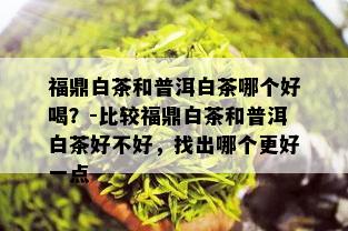 福鼎白茶和普洱白茶哪个好喝？-比较福鼎白茶和普洱白茶好不好，找出哪个更好一点