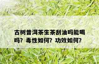 古树普洱茶生茶刮油吗能喝吗？性如何？功效如何？