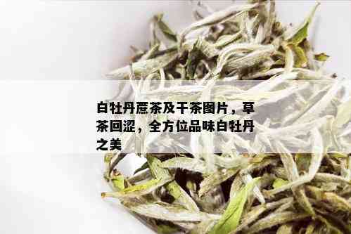 白牡丹蔗茶及干茶图片，草茶回涩，全方位品味白牡丹之美