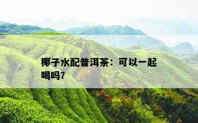 椰子水配普洱茶：可以一起喝吗？