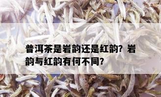 普洱茶是岩韵还是红韵？岩韵与红韵有何不同？