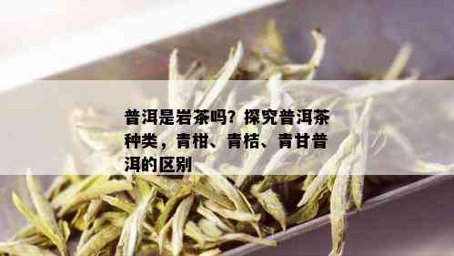 普洱是岩茶吗？探究普洱茶种类，青柑、青桔、青甘普洱的区别