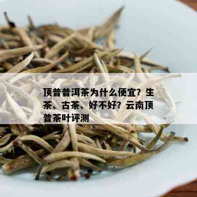 顶普普洱茶为什么便宜？生茶、古茶、好不好？云南顶普茶叶评测