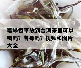 糯米香草放到普洱茶里可以喝吗？有吗？视频和图片大全