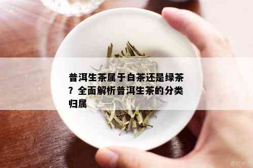 普洱生茶属于白茶还是绿茶？全面解析普洱生茶的分类归属