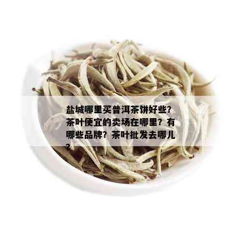 盐城哪里买普洱茶饼好些？茶叶便宜的卖场在哪里？有哪些品牌？茶叶批发去哪儿？