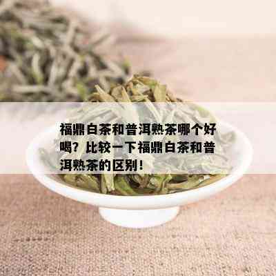 福鼎白茶和普洱熟茶哪个好喝？比较一下福鼎白茶和普洱熟茶的区别！