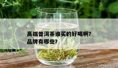 高端普洱茶谁买的好喝啊？品牌有哪些？