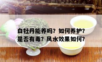 白牡丹能养吗？如何养护？是否有？风水效果如何？