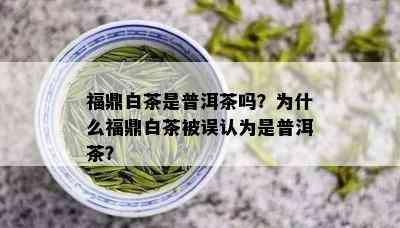 福鼎白茶是普洱茶吗？为什么福鼎白茶被误认为是普洱茶？