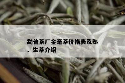 勐普茶厂金毫茶价格表及熟、生茶介绍