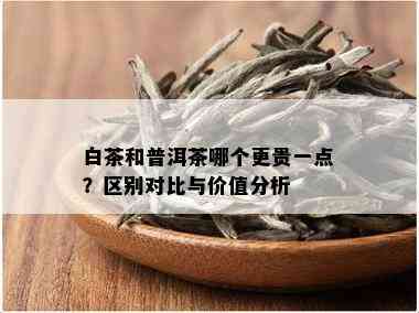 白茶和普洱茶哪个更贵一点？区别对比与价值分析