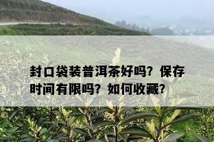 封口袋装普洱茶好吗？保存时间有限吗？如何收藏？