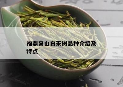 福鼎高山白茶树品种介绍及特点