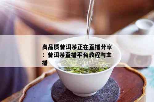 高品质普洱茶正在直播分享：普洱茶直播平台教程与主播