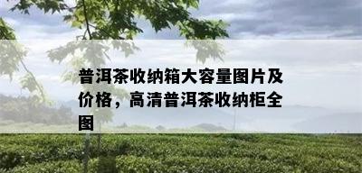 普洱茶收纳箱大容量图片及价格，高清普洱茶收纳柜全图