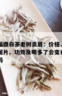 福鼎白茶老树贡眉：价格、图片、功效及喝多了会变白吗