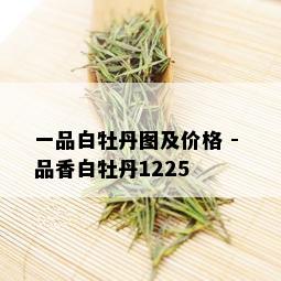 一品白牡丹图及价格 - 品香白牡丹1225