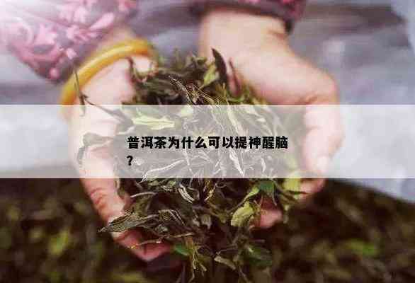 普洱茶为什么可以提神醒脑？