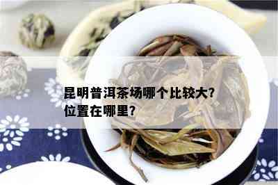 昆明普洱茶场哪个比较大？位置在哪里？