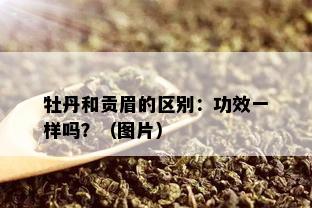 牡丹和贡眉的区别：功效一样吗？（图片）