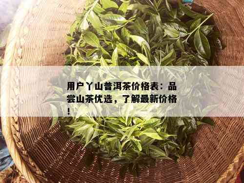 用户丫山普洱茶价格表：品尝山茶优选，了解最新价格！