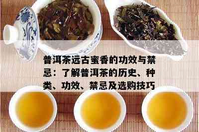 普洱茶远古蜜香的功效与禁忌：了解普洱茶的历史、种类、功效、禁忌及选购技巧