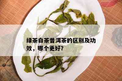 绿茶白茶普洱茶的区别及功效，哪个更好？